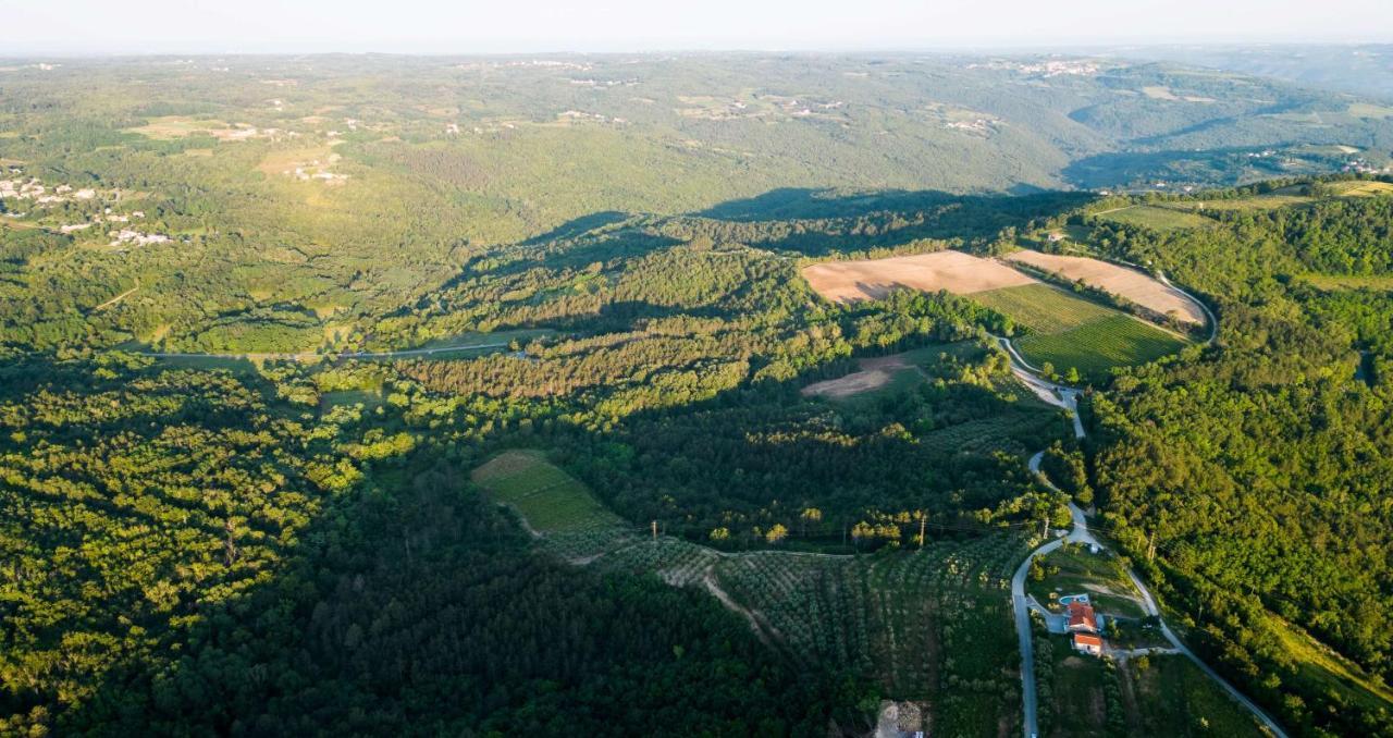 Villa Meloni Motovun Dış mekan fotoğraf