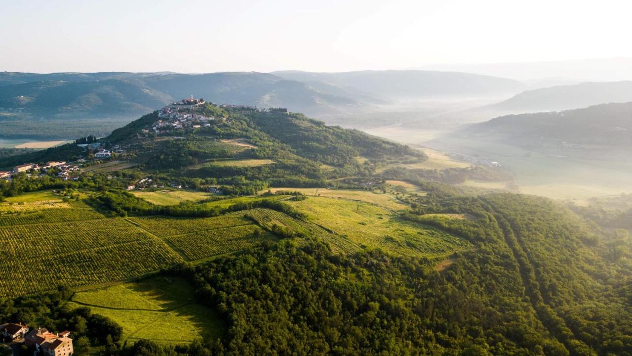 Villa Meloni Motovun Dış mekan fotoğraf