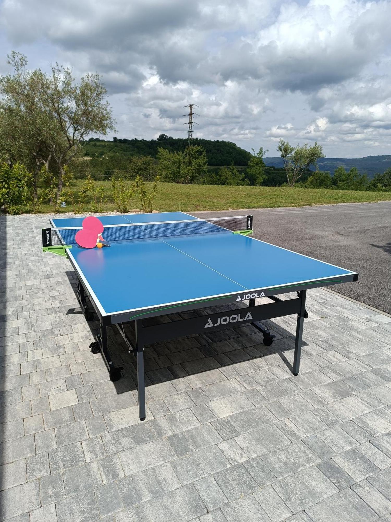 Villa Meloni Motovun Dış mekan fotoğraf