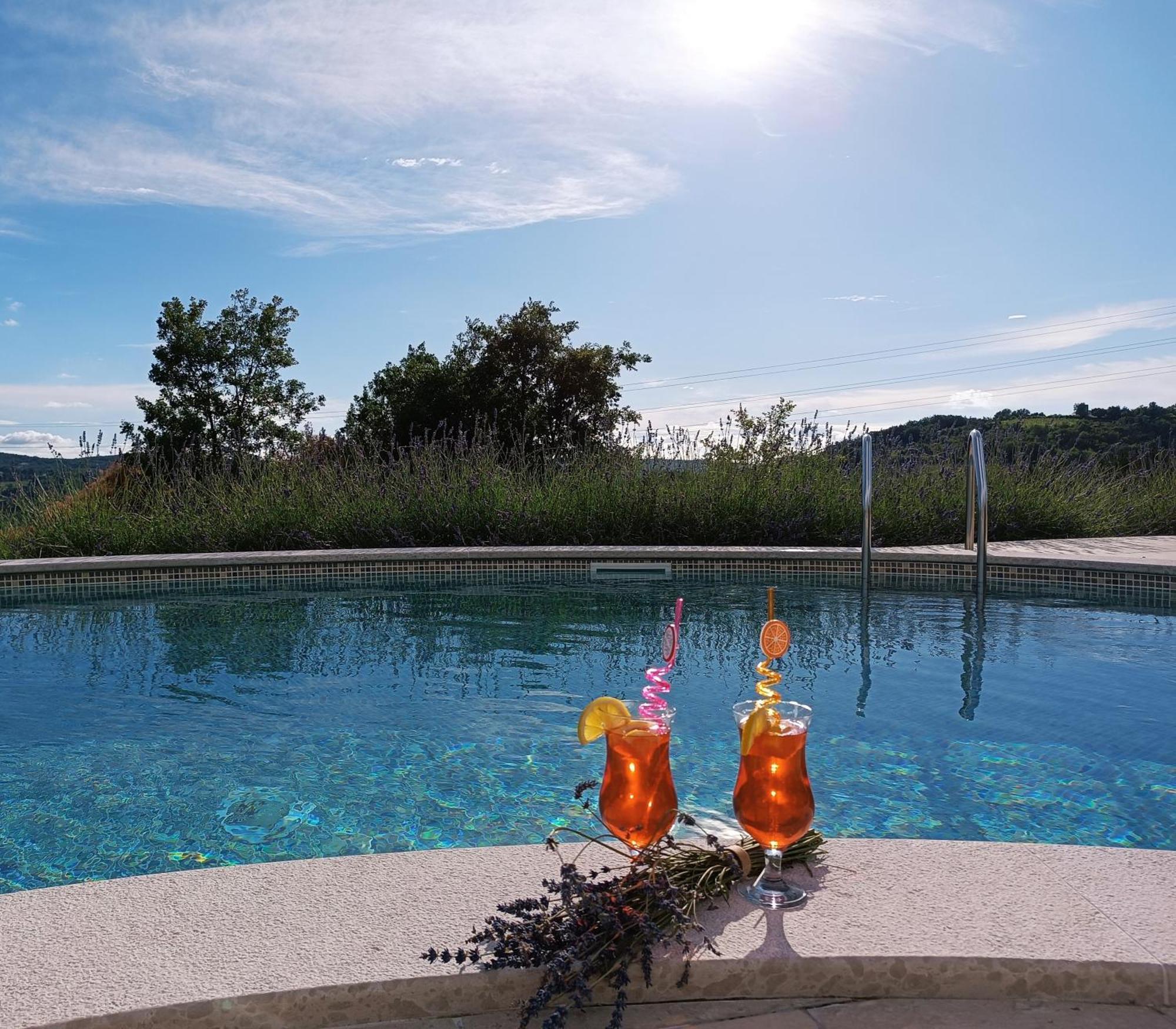 Villa Meloni Motovun Dış mekan fotoğraf